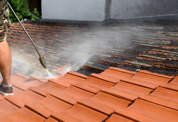 Best Residential Pressure Washing Services  in Longview, TX